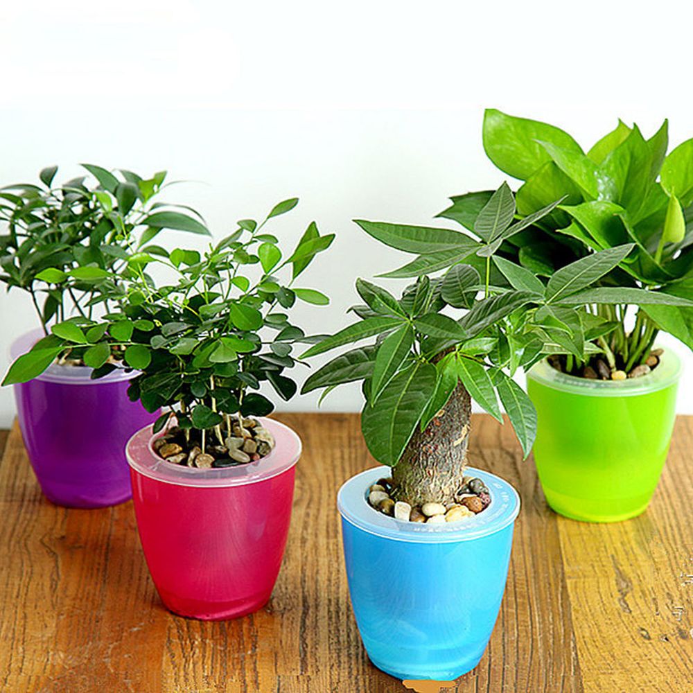 Self-Watering Plant Pot — image 4